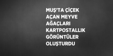 23636277542738325836