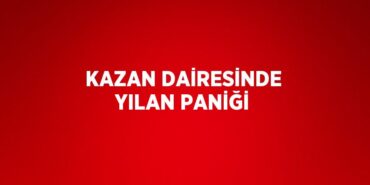 23637238442613229128tasarimli