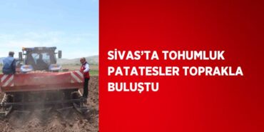 23638270012732929564