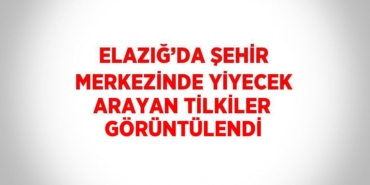 23639241432874223837tasarimli