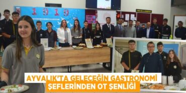 23639253132572731667tasarimli