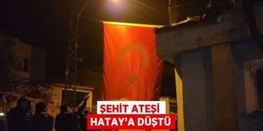 23639299042619125912tasarimli