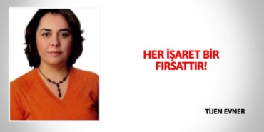 23641301862393126924