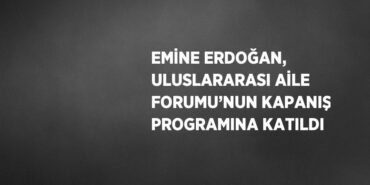 23641304902044924575