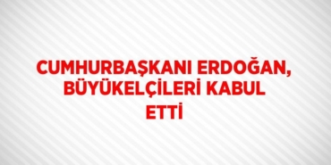 23647204912953029679tasarimli