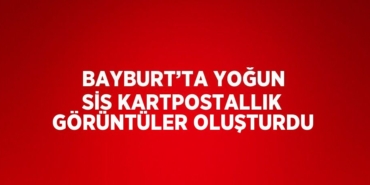 23648300362636525473tasarimli