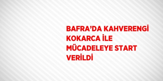 BAFRA’DA KAHVERENGİ KOKARCA İLE MÜCADELEYE START VERİLDİ