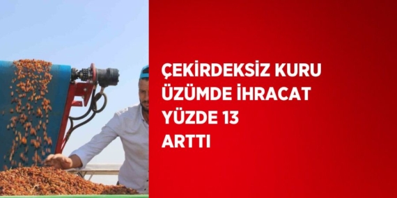 ÇEKİRDEKSİZ KURU ÜZÜMDE İHRACAT YÜZDE 13 ARTTI