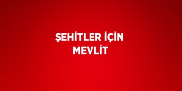 23680246322053923248tasarimli