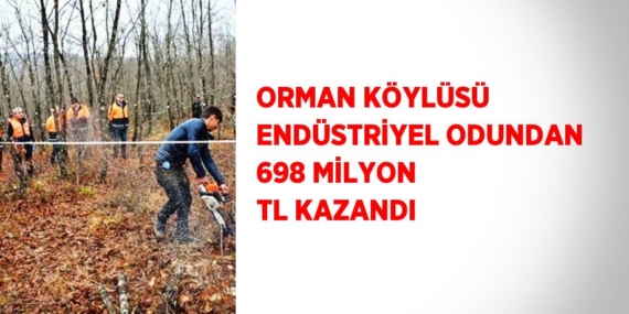 ORMAN KÖYLÜSÜ ENDÜSTRİYEL ODUNDAN 698 MİLYON TL KAZANDI
