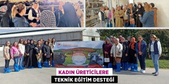 KADIN ÜRETİCİLERE   TEKNİK EĞİTİM DESTEĞİ