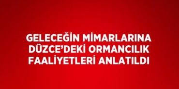23698269412573520287tasarimli