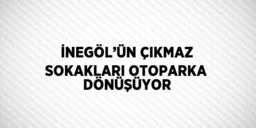 23700216653085423924tasarimli