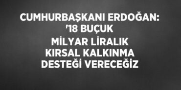23700262792297429212tasarimli