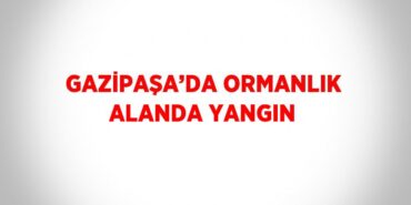 23703201972554621961tasarimli