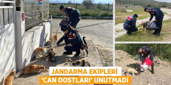 Jandarma ekipleri ‘can dostları’ unutmadı