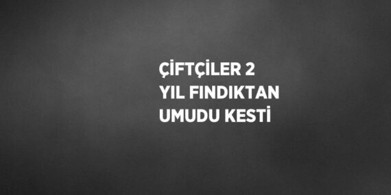 ÇİFTÇİLER 2 YIL FINDIKTAN UMUDU KESTİ