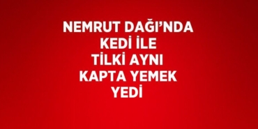 23710256992521630313tasarimli