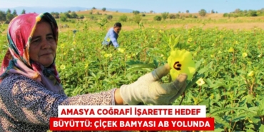 23714204172020522497tasarimli