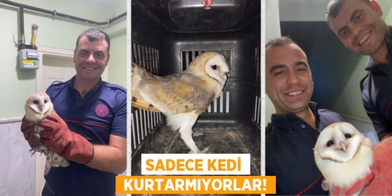 SADECE KEDİ  KURTARMIYORLAR!