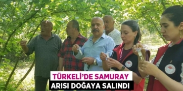23717268213199630863tasarimli