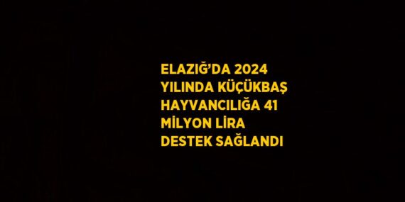 ELAZIĞ’DA 2024 YILINDA KÜÇÜKBAŞ HAYVANCILIĞA 41 MİLYON LİRA DESTEK SAĞLANDI