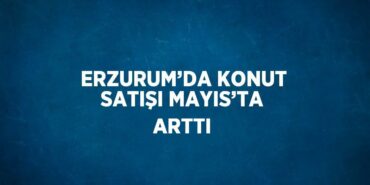 23724295813146228713tasarimli