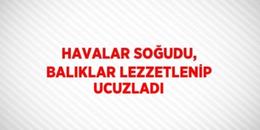23729292702254030583tasarimli