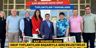 23732223882179321760tasarimli