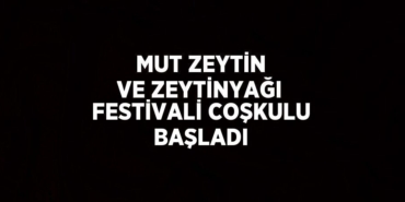 23735270482458822262tasarimli