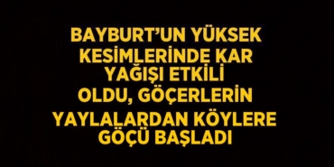 23741292572820622811tasarimli