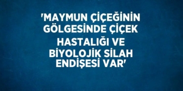 23742231002768127616tasarimli