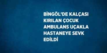 23746227982902031456