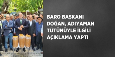 23749308782582126434