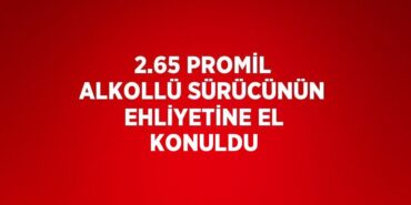 23757287692310122658tasarimli