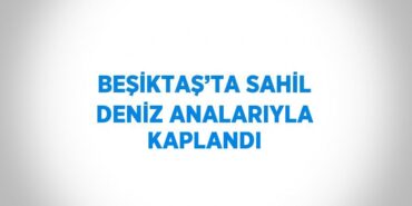 23757289823136931806tasarimli