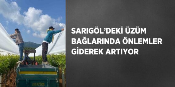 SARIGÖL’DEKİ ÜZÜM BAĞLARINDA ÖNLEMLER GİDEREK ARTIYOR