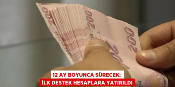 12 AY BOYUNCA SÜRECEK: İLK DESTEK HESAPLARA YATIRILDI