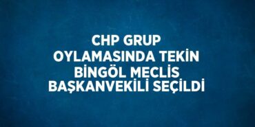 23775257172424731127tasarimli