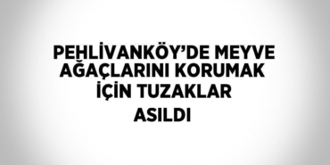 23776288122824828447tasarimli