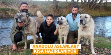 23777232702923024919tasarimli