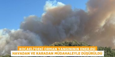 23783220543136321732tasarimli