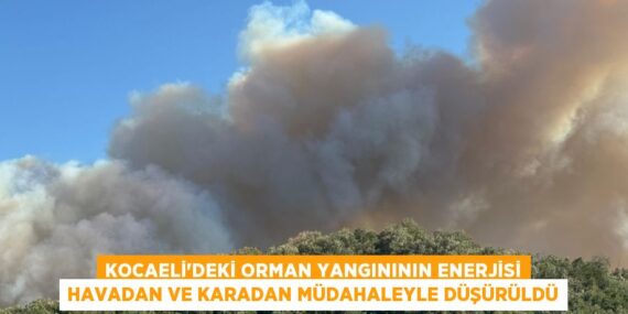 Kocaeli’deki orman yangınının enerjisi havadan ve karadan müdahaleyle düşürüldü