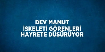 23783267593091921801tasarimli