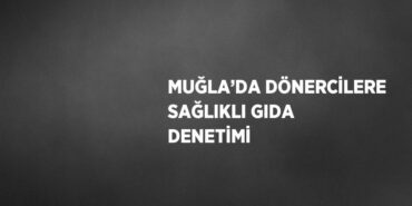 23785254212888723096