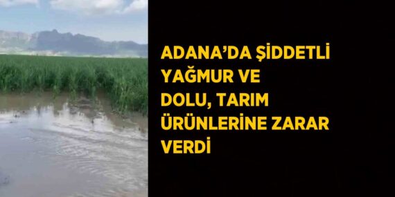 ADANA’DA ŞİDDETLİ YAĞMUR VE DOLU, TARIM ÜRÜNLERİNE ZARAR VERDİ