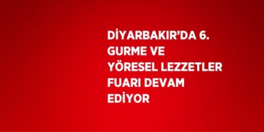 23792288892959722458