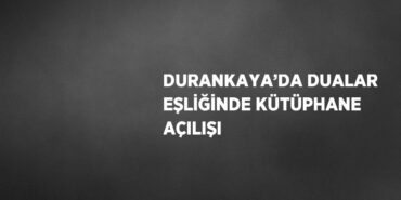 23800227832979621825