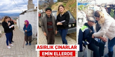 23805301012538625056tasarimli