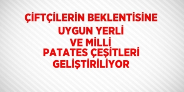 23807244082698726863tasarimli